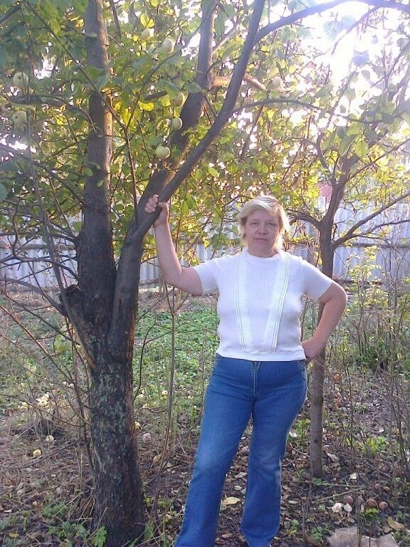 ���������� �������, ���� ������� �������, 62 ����, ������������ 