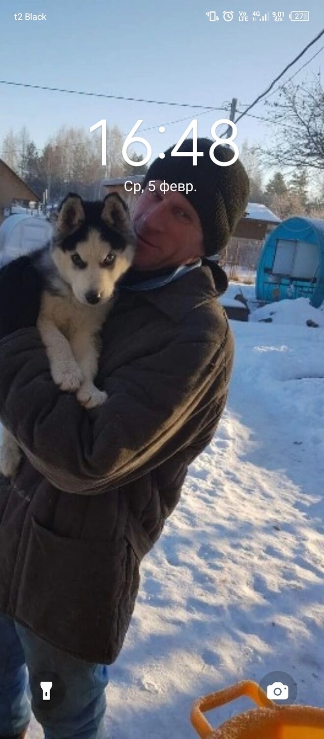 ���������� ��������, ���� ������� ���������, 42 ����, ������������ ��� ������, ����� � ���������