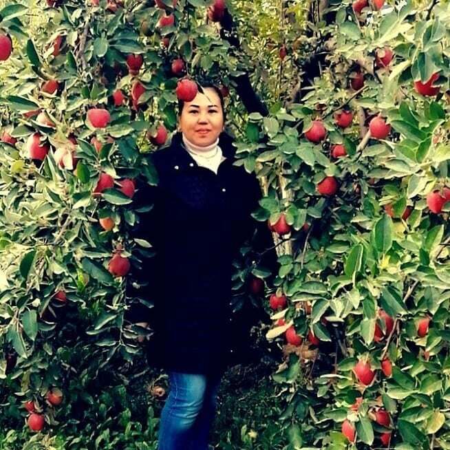 ���� 44781383 ������� ������, 44 ����, ���� ���������� � ������