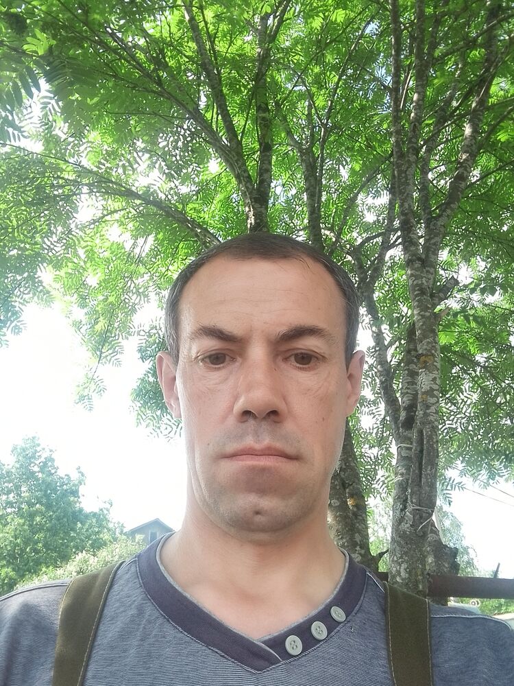  43840813  , 41 ,    