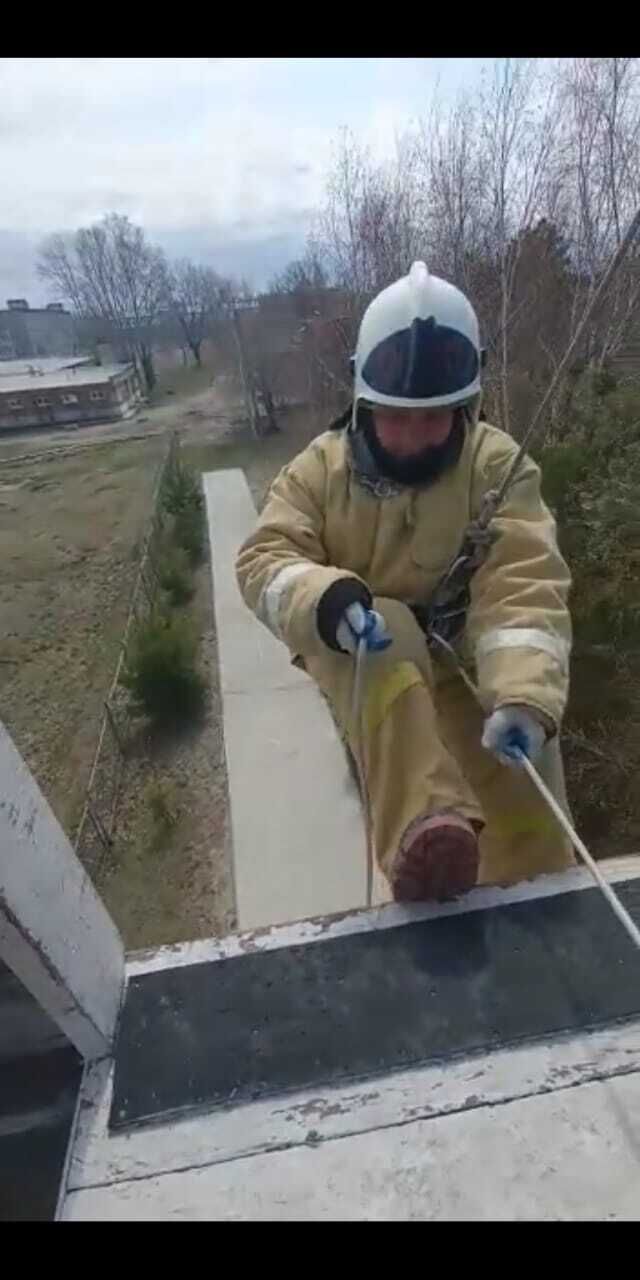 ���������� ���������, ���� ������� �����, 36 ���, ������������ ��� c�������� ���������