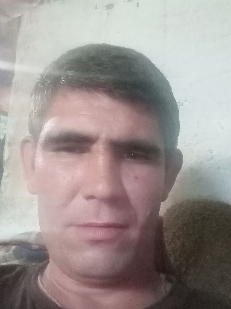  36337373  , 37 ,    -