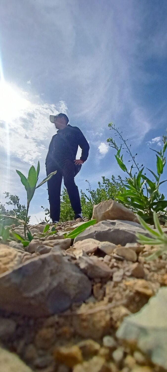 ���� 40268003 ������� ������, 35 ���, ���� ���������� � ��������