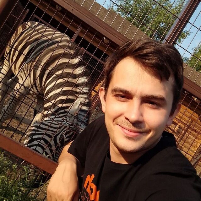 ���� 55696073 ������� �����, 31 ���, ���� ���������� � ���������� ������