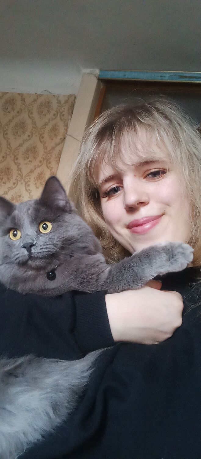  ,   , 26 ,   ,   , 