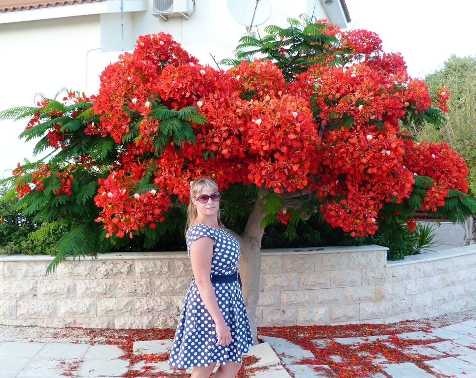  7797463  , 44 ,    -