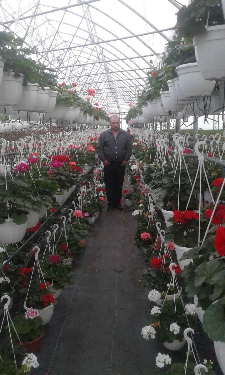 ���������� �������, ���� ������� Anatoli, 49 ���, ������������ ��� ������, ����� � ���������, c�������� ���������