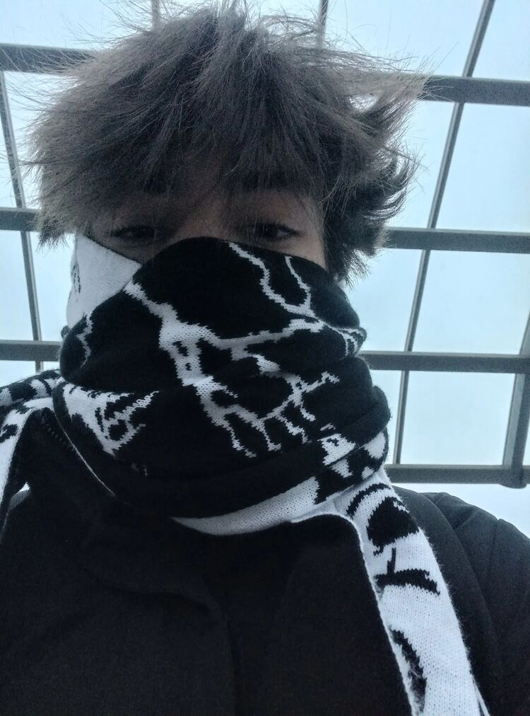 ���� 40955303 ����� ������, 20 ���, ���� ���������� � ��������