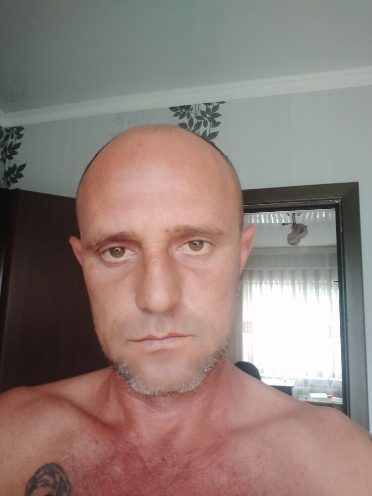  53728313  , 41 ,    