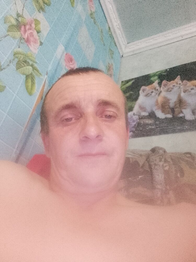  ,   , 43 ,     , 