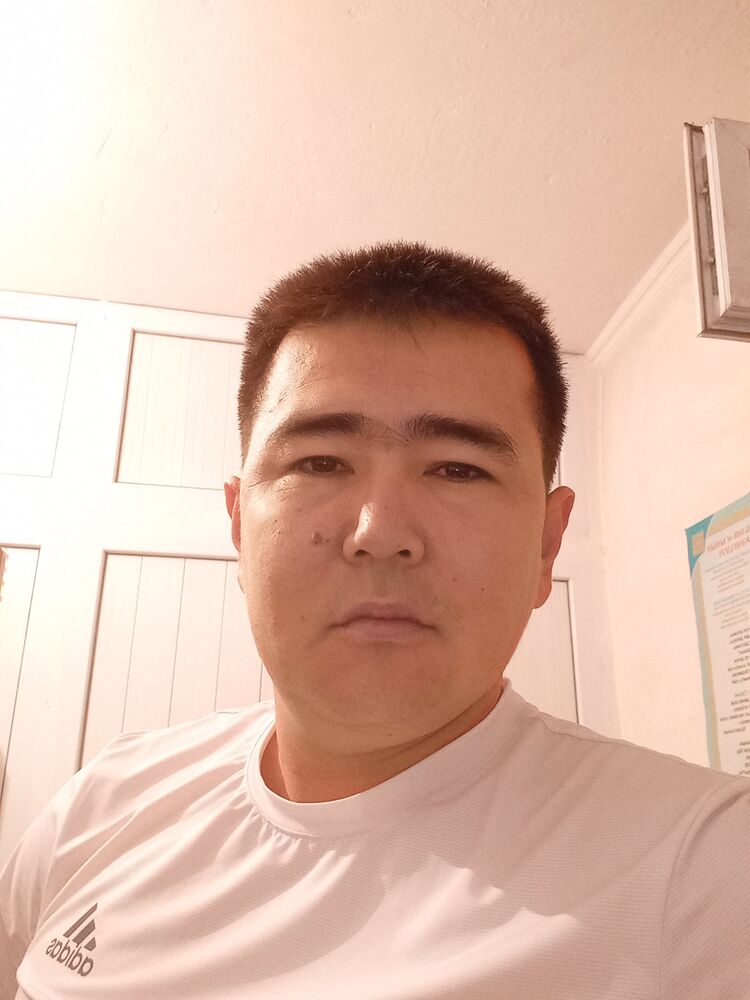  24100273  , 33 ,    