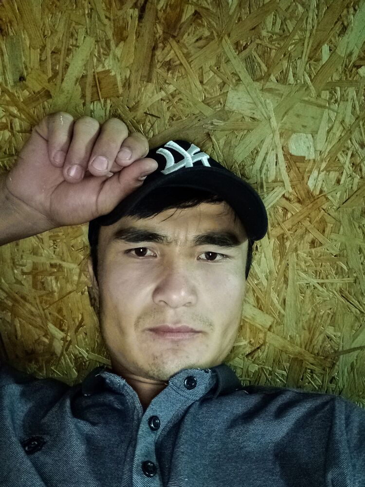  28462383  , 27 ,    