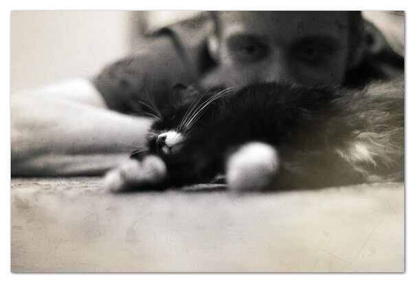 ���������� ������, ���� ������� ����, 37 ���, ������������ ��� ������, ����� � ���������, c�������� ���������