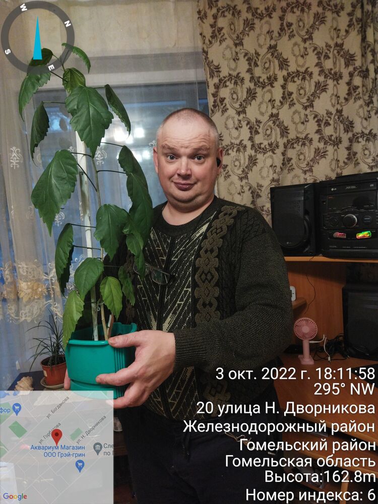  ,   , 44 ,   ,   , c 