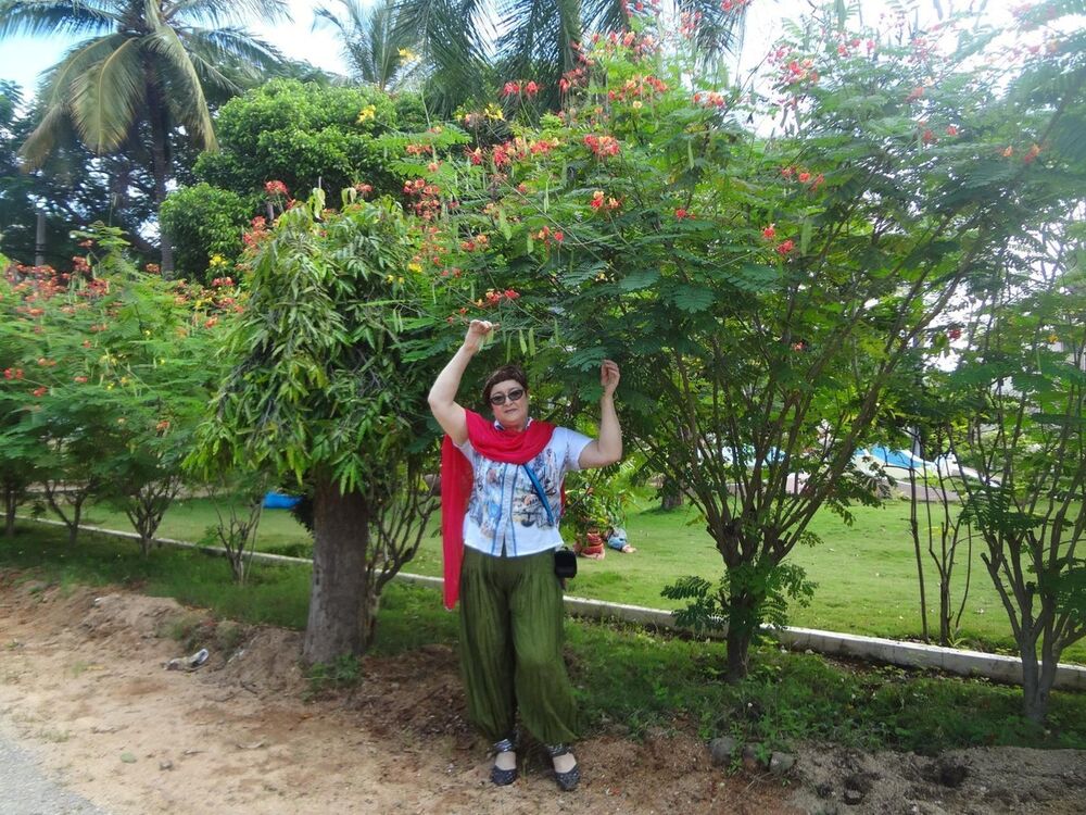  ,   Vera, 62 ,   