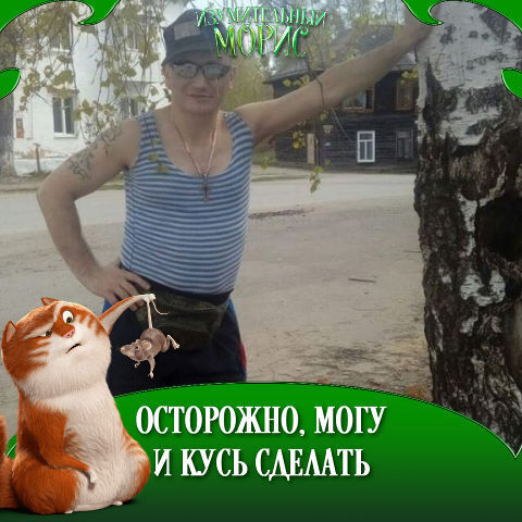 ���� 37732743 ������� ����, 43 ����, ���� ���������� � �������������