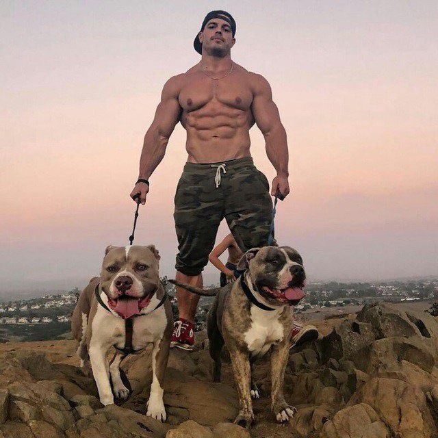 ���� 35047053 ������� ������, 35 ���, ���� ���������� � ��������