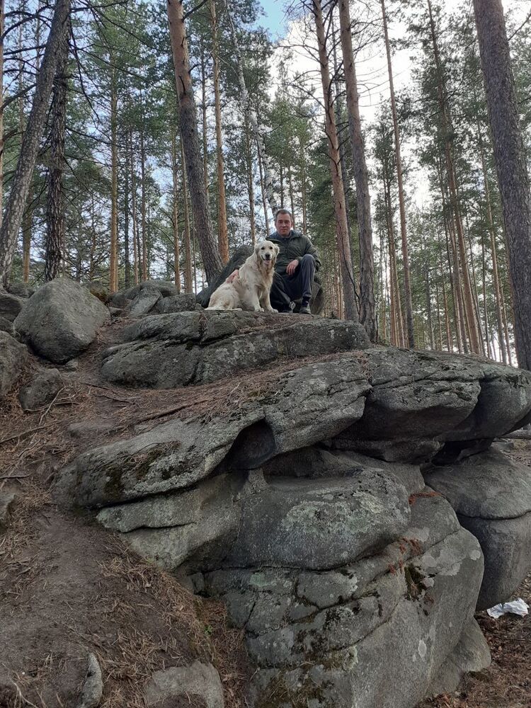 ���������� ������������, ���� ������� ����, 44 ����, ������������ ��� ������, ����� � ���������, c�������� ���������, ���������