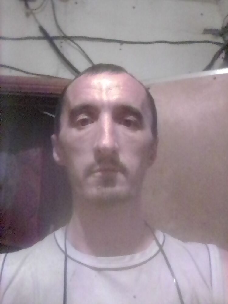  38035253  , 41 ,    