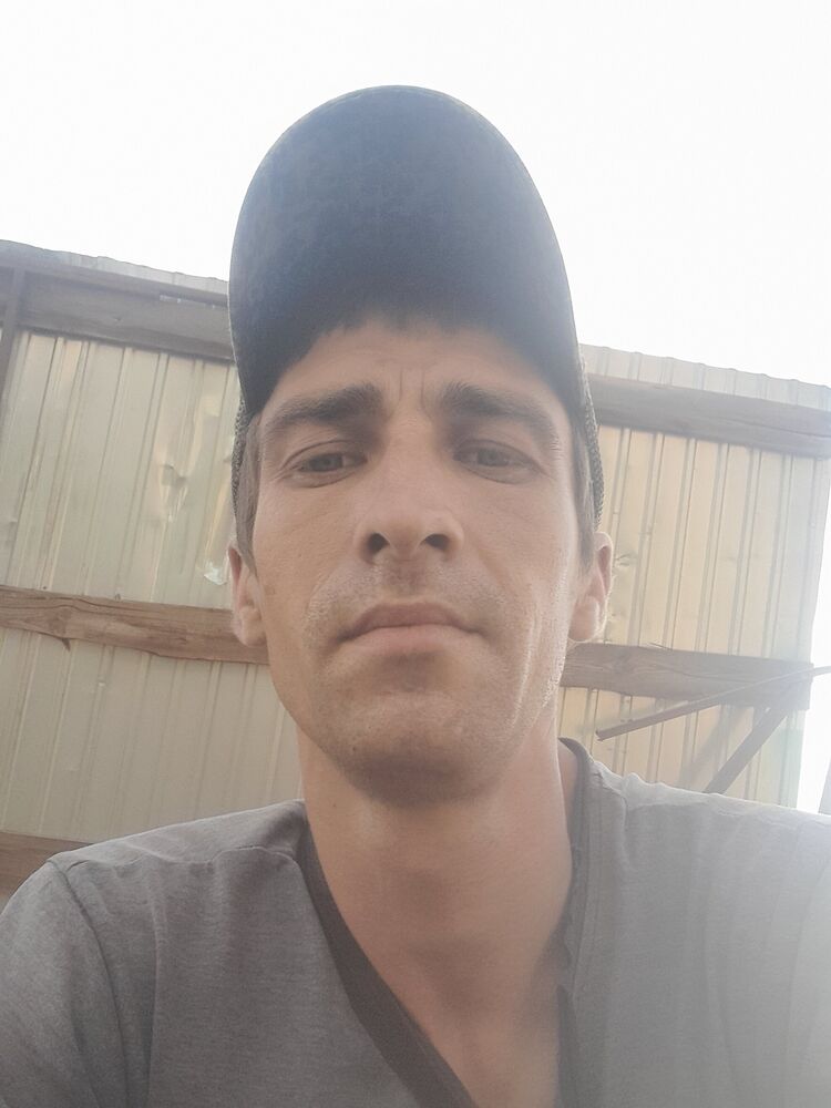  42011693  , 31 ,    
