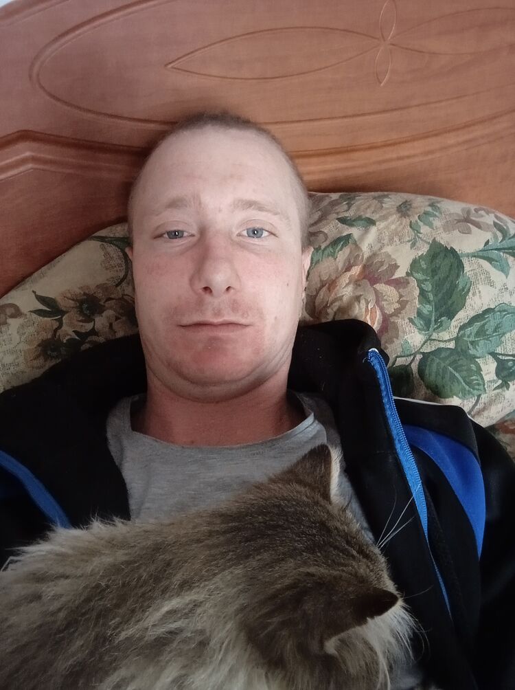 ���� 31722723 ������� �������, 32 ����, ���� ���������� � �����������