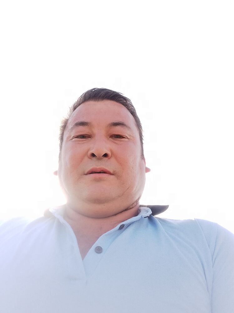  29240753  , 37 ,    --