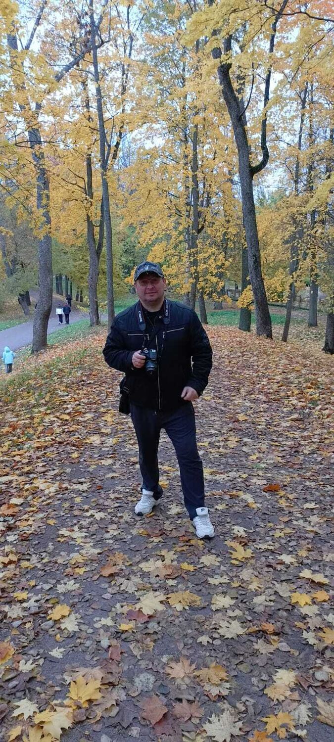  53981603  , 40 ,    -