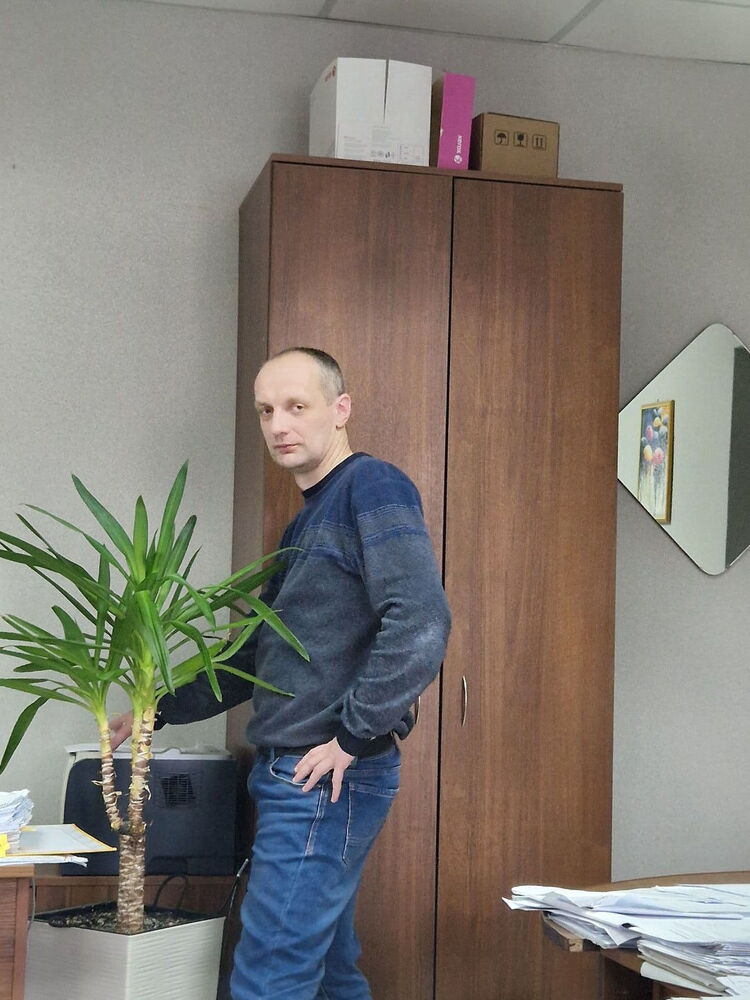  41096603  , 44 ,    