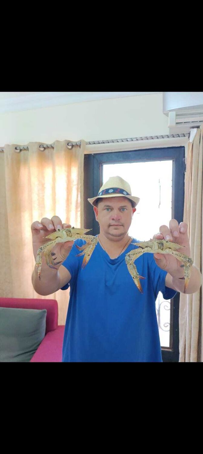 ���������� �����, ���� ������� ������, 47 ���, ������������ ��� c�������� ���������