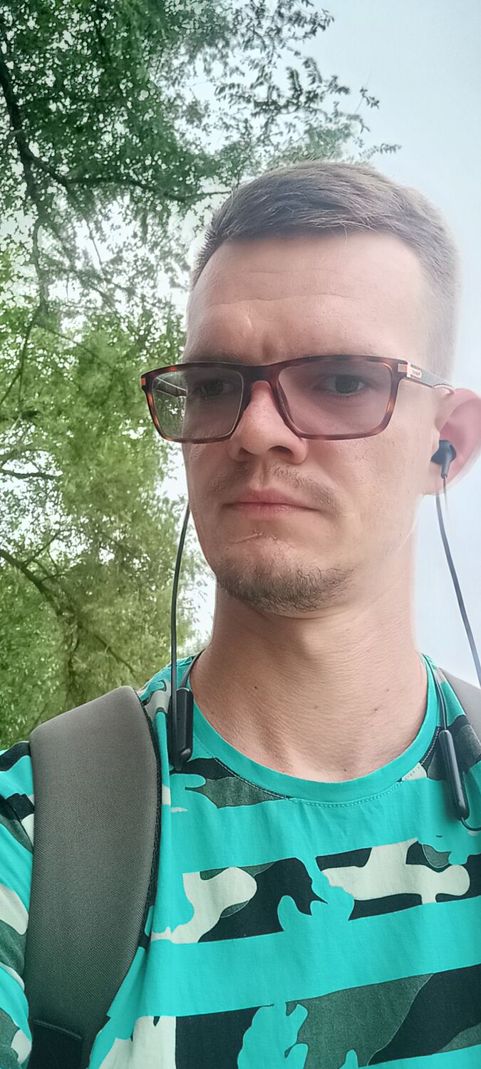  29217653  , 31 ,    --