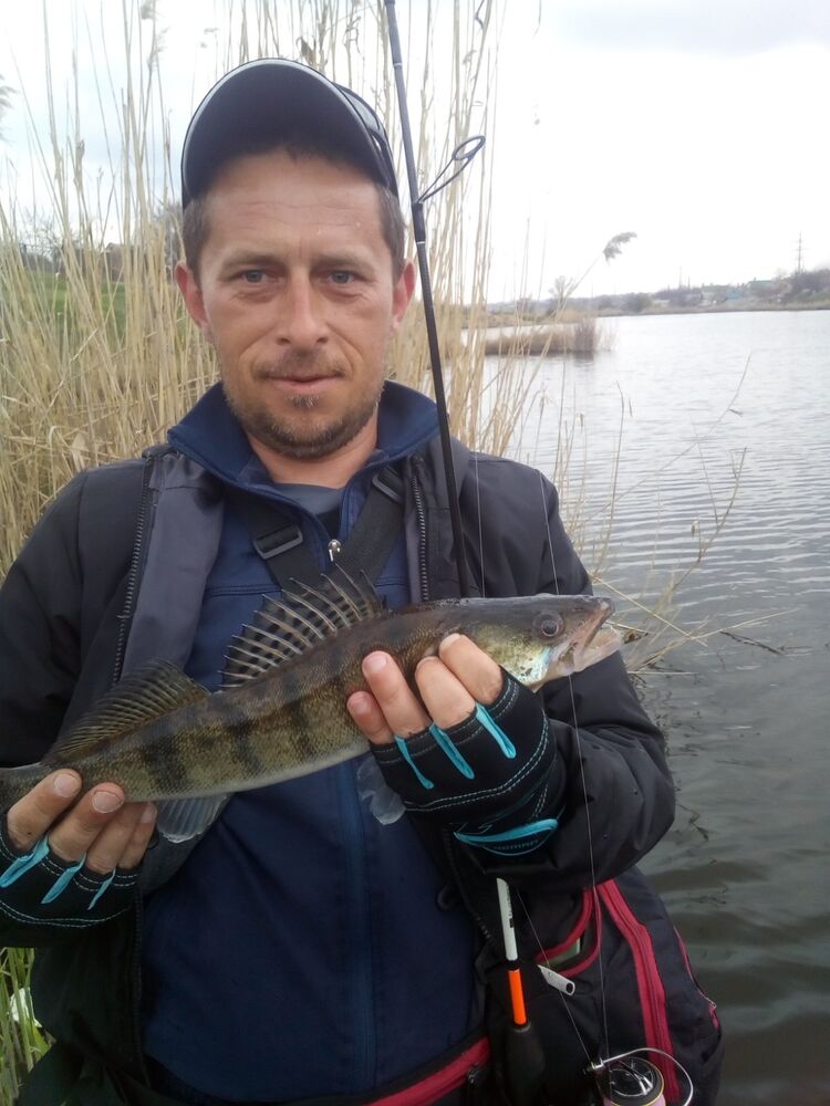 ���� 23079353 ������� ����, 41 ���, ���� ���������� � ���������