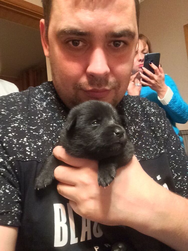 ���������� �����-���������, ���� ������� �������, 43 ����, ������������ ��� ������, ����� � ���������, c�������� ���������