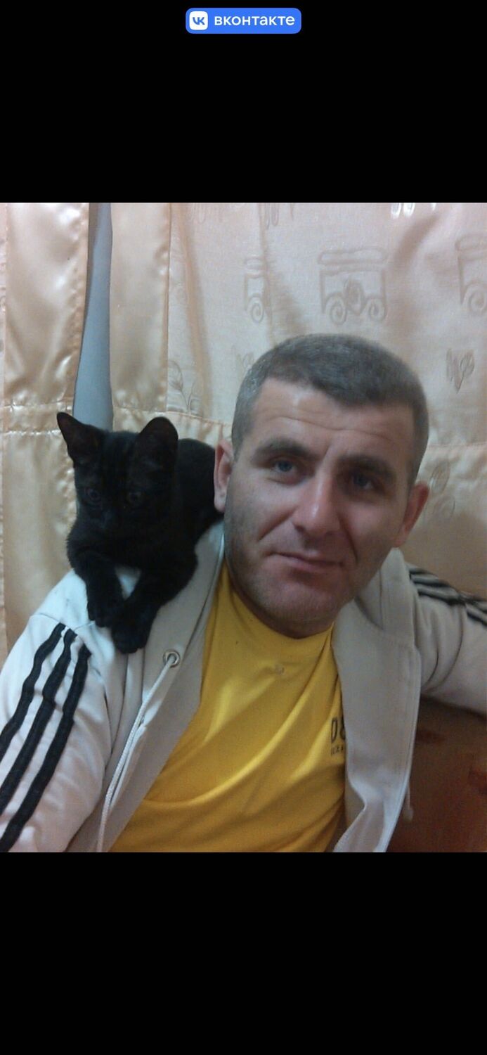 ���� 34176113 ������� �����, 45 ���, ���� ���������� � ������