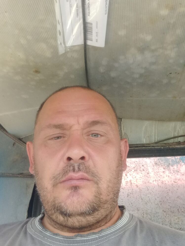  53410313  , 44 ,    