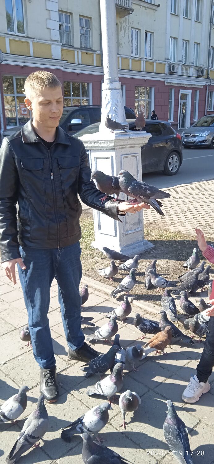 ���������� ��������, ���� ������� �������, 35 ���, ������������ ��� ������, ����� � ���������, c�������� ���������