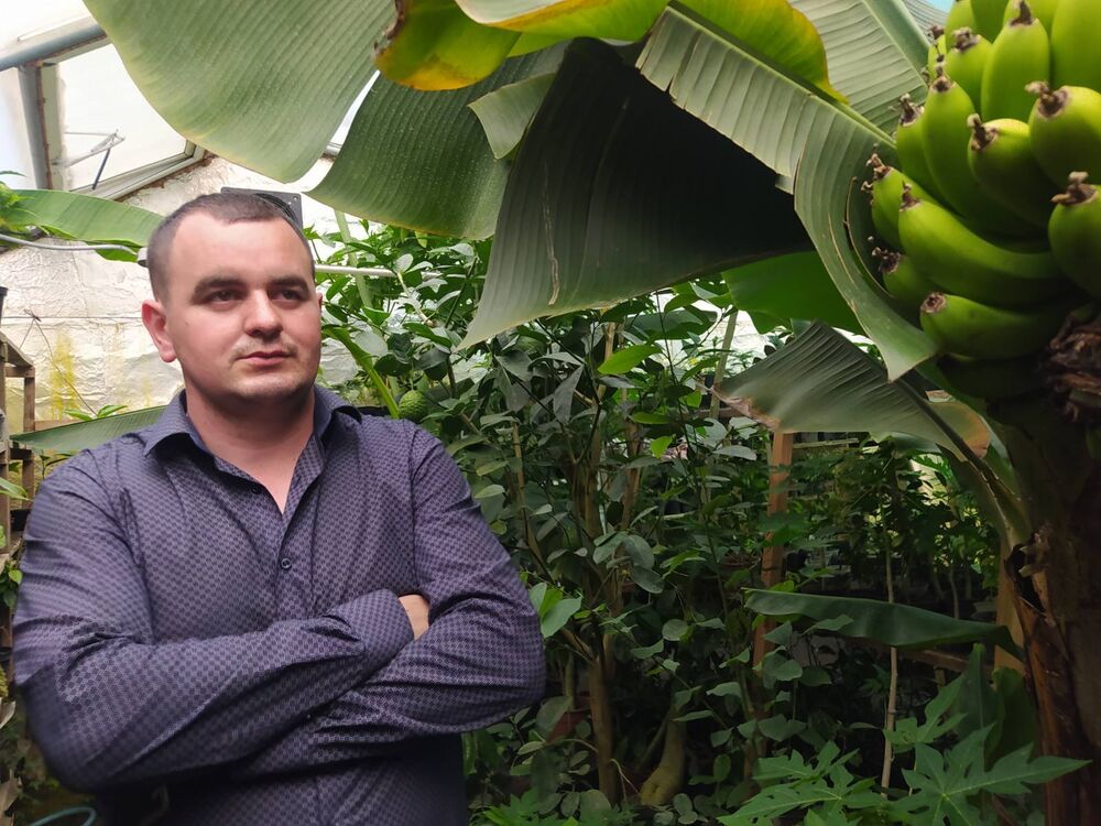 ���������� �����, ���� ������� ������, 32 ����, ������������ ��� ������, ����� � ���������, c�������� ���������, ���������