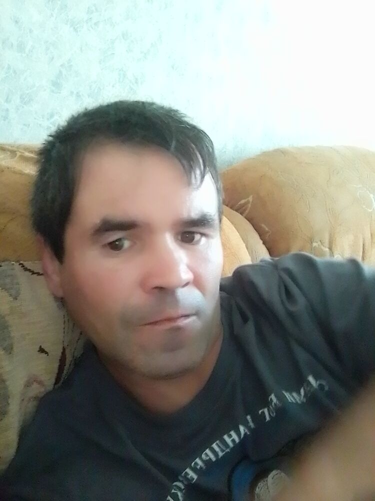  23908313  , 43 ,    