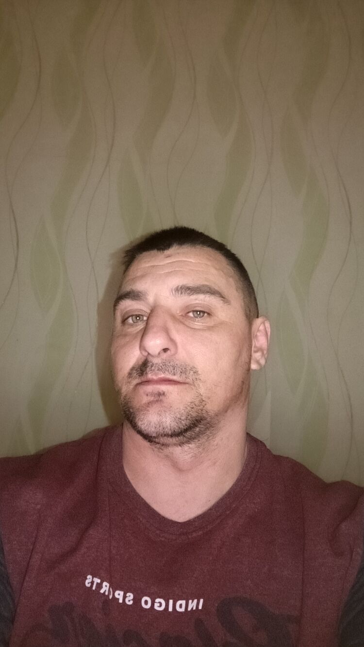  49933703  , 41 ,     