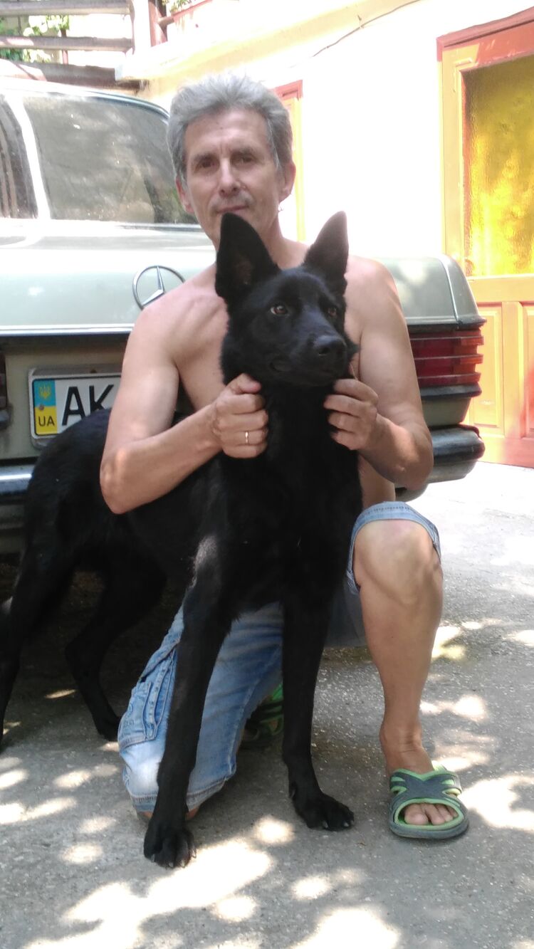 ���� 41009973 ������� ������, 68 ���, ���� ���������� � ������