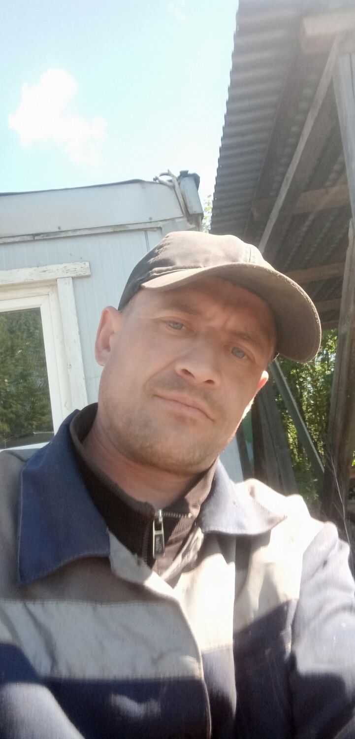  43384263  , 38 ,    