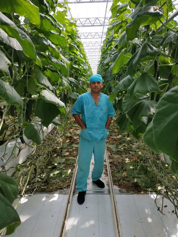 ���� 23605083 ������� �����, 29 ���, ���� ���������� � ������