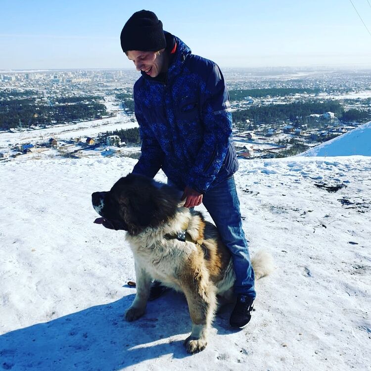 ���� 23401353 ������� ���������, 29 ���, ���� ���������� � �������