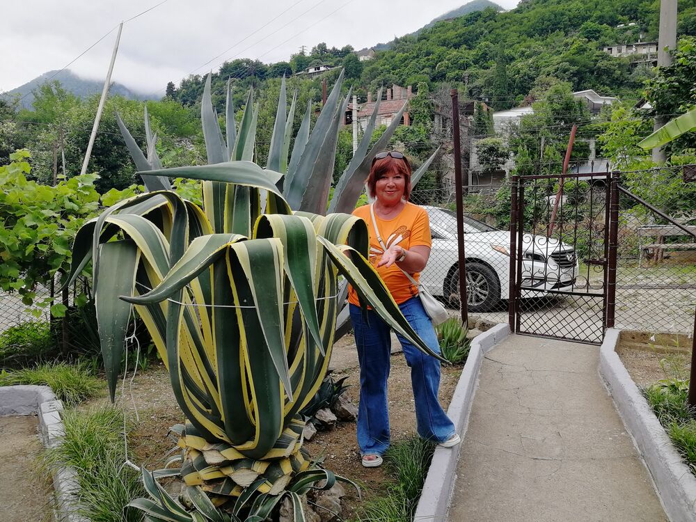 ���� 48838213 ������� �������, 56 ���, ���� ���������� � ����������