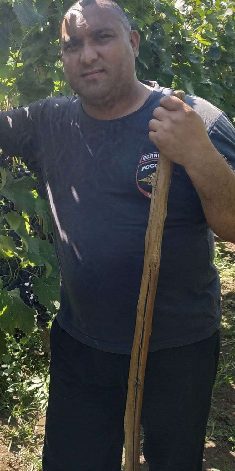 ���������� ������, ���� ������� ������, 44 ����, ������������ ��� ������, ����� � ���������