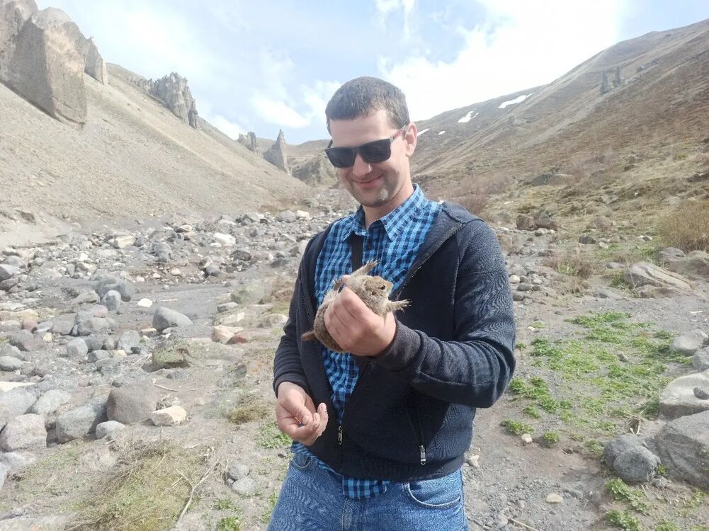 ���������� ������, ���� ������� ������, 33 ����, ������������ ��� ������, ����� � ���������, c�������� ���������