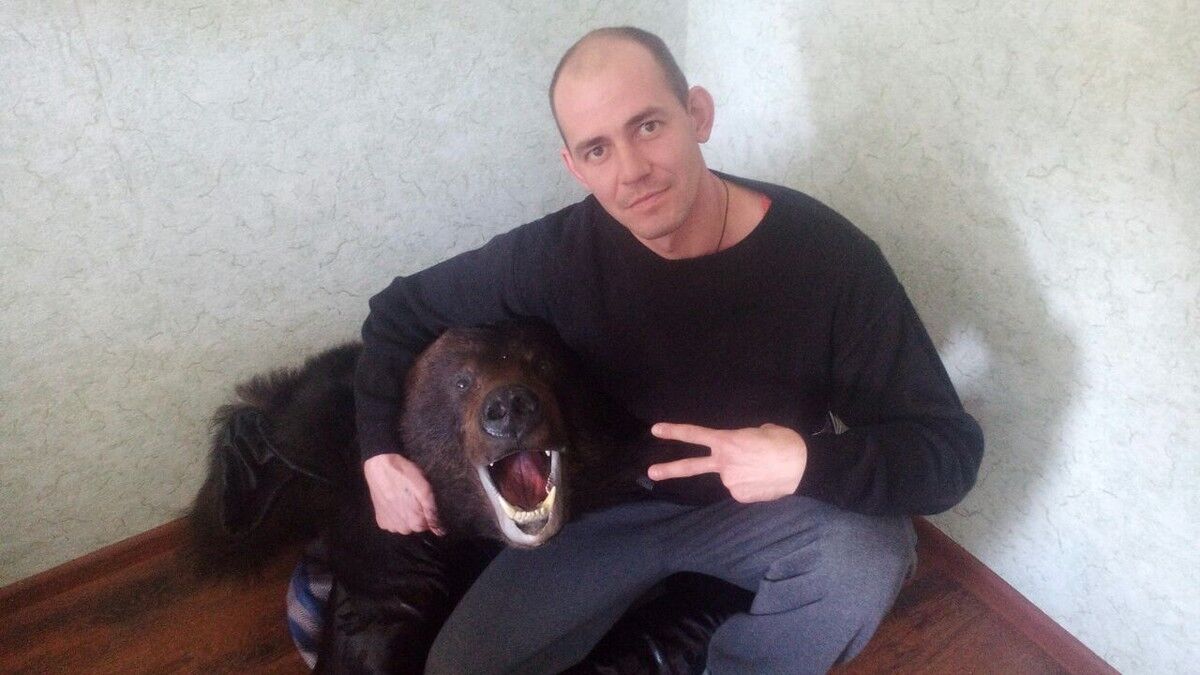 ���� 8463113 ������� �����, 38 ���, ���� ���������� � ����������