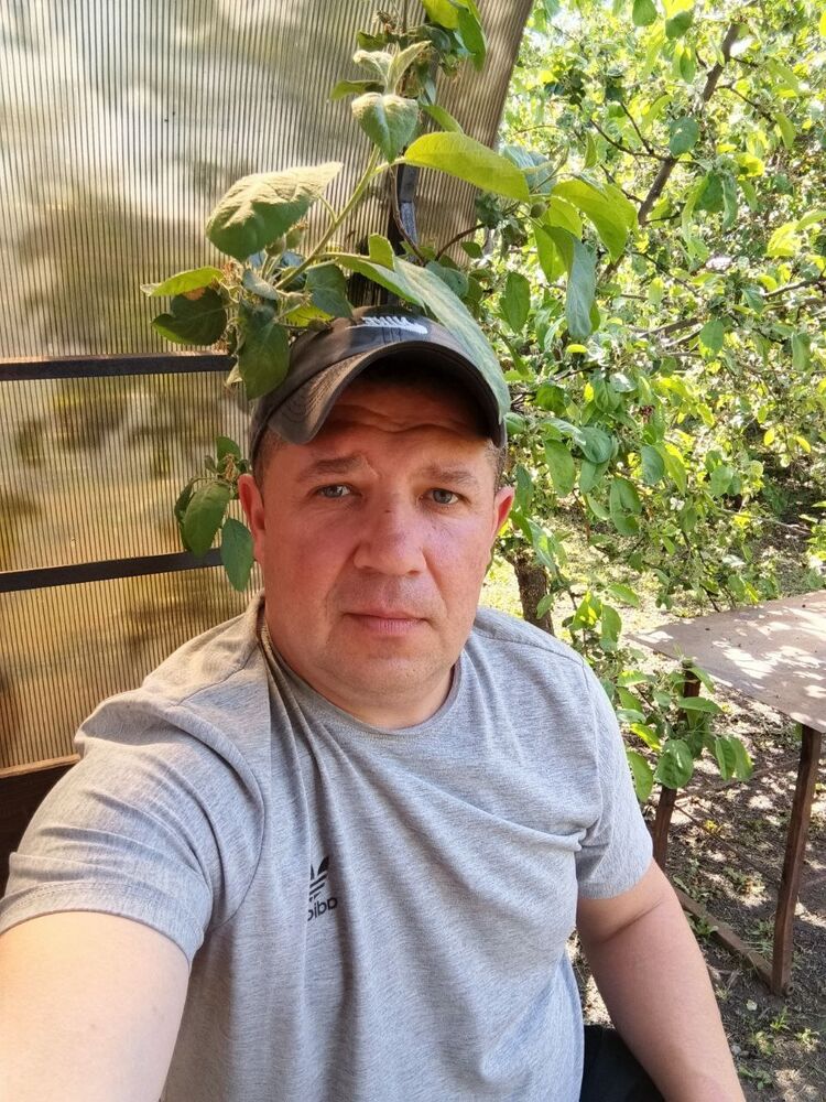 ���� 54822043 ������� ��������, 43 ����, ���� ���������� � ������