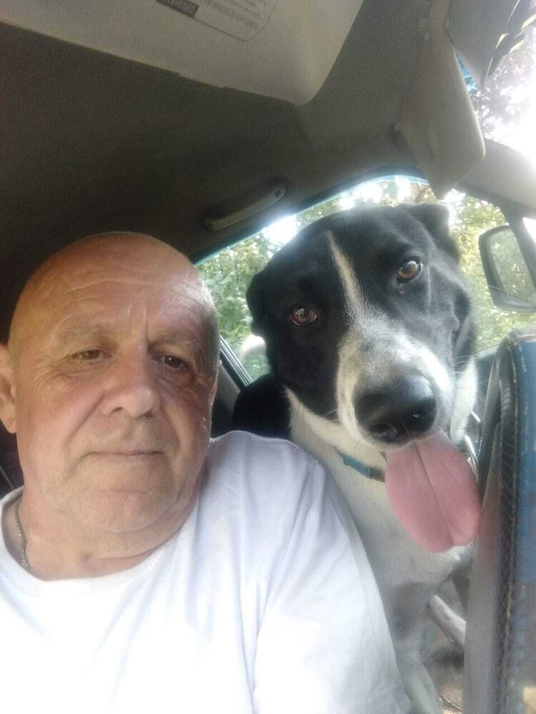 ���� 54729623 ������� ����, 64 ����, ���� ���������� � ���������