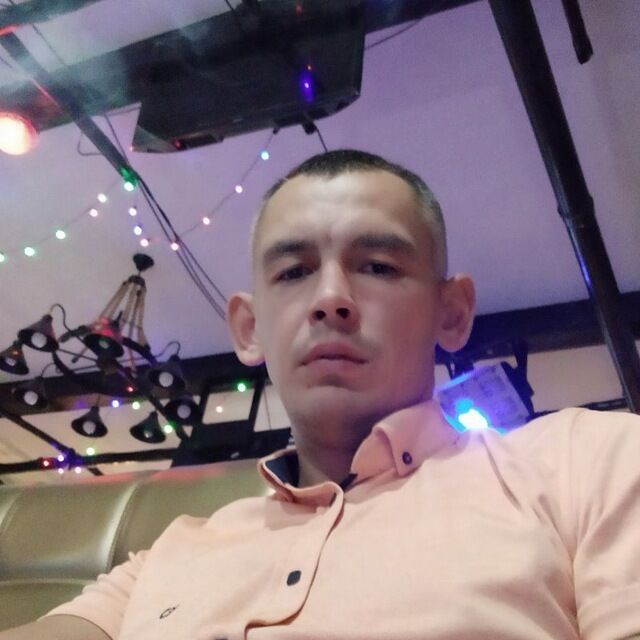  28829453  , 38 ,    