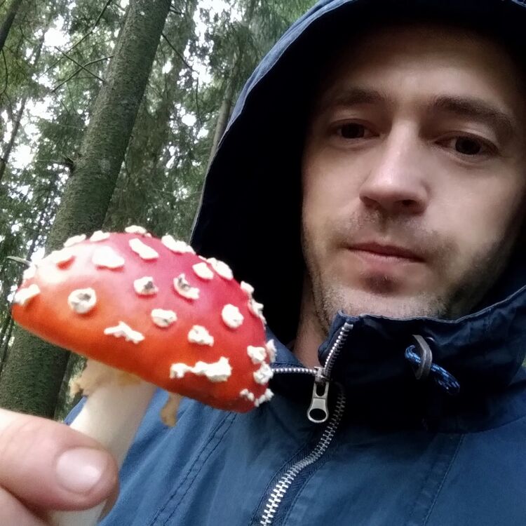 ���������� �����-���������, ���� ������� ����, 36 ���, ������������ ��� ������, ����� � ���������, c�������� ���������, ���������